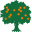 BITTER ORANGE