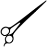 Biyoshi