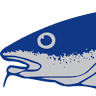 Bjarnes Fisk og Fisketeria