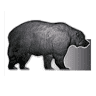 Black Bear Barns