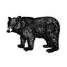 Black Bear Bread Co.