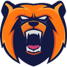Black Bear Electric Inc.