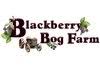 Blackberry Bog Farm