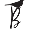 Blackbird Studio Yoga Barre and Pilates