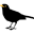 Blackbird Lodge
