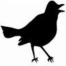Four & Twenty Blackbirds, Inc.