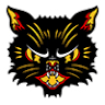 Black Cat Collective