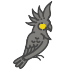 Black Cockatoo Cottages