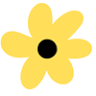 Black-Eyed Susan's Florist