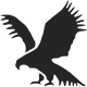 Blackhawk Equipment