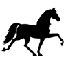 Black Horse Insurance