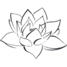 Black Mountain Yoga