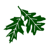 Black Oak Golf Club, LLC