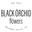 Black Orchid flowers