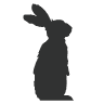 Black Rabbit Studio
