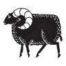 Black Sheep Bar & Grill
