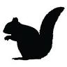 Black Squirrel Inn