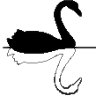 Black Swan Mortgage Services