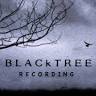 BlackTree Recording