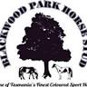 Blackwood Park Horse Stud