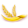 Arroz Blanquita
