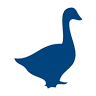 Arthotel Blaue Gans
