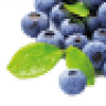 Blue Berry Farm
