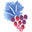 Bleu Provence Fine Wines