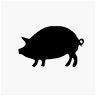Blind Swine on Duck Creek