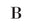 Blink Lash Store, LLC