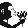 Blissful Monkey Yoga Studio