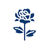 Bloemen Vansteenkiste bvba
