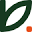 Bloemen Young Plants BV