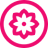 Bloemmijntje - Bloemen op bestelling