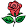 Blomster På Striben