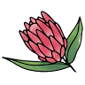 BLOOMDIGGITY Floral & Plant Studio