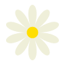 Bloom Yoga and Wellness, LLC