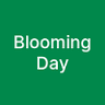 Blooming Day Flowers