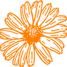 Blooming Natural - Medical Herbalist - Grimsby, Cleethorpes and Online