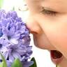 Blooming Oils