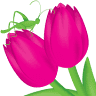 Bloomin Sweet Florist Cessnock