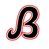 Bloom Roofing