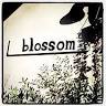 blossom