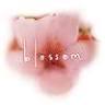 blossom eco skin care