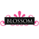 Blossom Hair Boutique