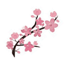 SUSHI BLOSSOM