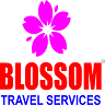 Blossom Travel Services