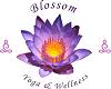 Blossom Yoga & Wellness