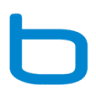 Blue Bags