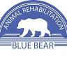 Blue Bear Animal Rehabilitation